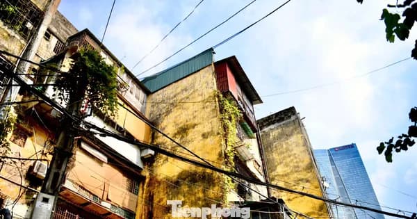 Khu tập thể Ngọc Khánh xuống cấp chờ cải tạo