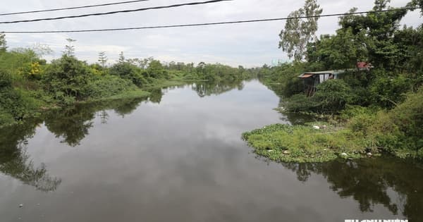 Hơn 10.000 tỉ 'đ&aacute;nh thức' 2 d&ograve;ng s&ocirc;ng