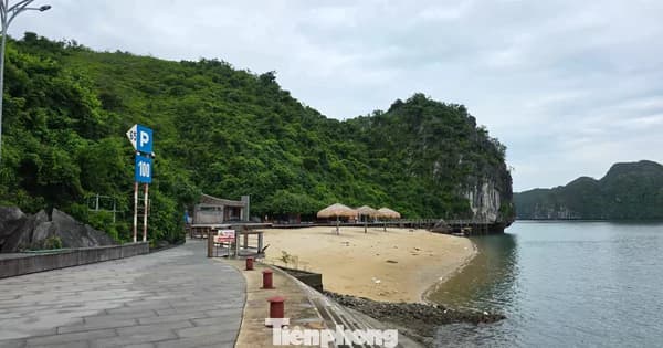 Bãi biển Soi Sim (Vịnh Hạ Long) chưa thể đón khách dù được vinh danh quốc tế