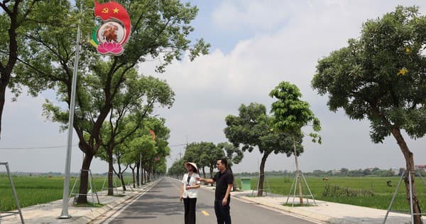 Xã Hát Môn: Đấu giá đất tạo nguồn lực phát triển hạ tầng