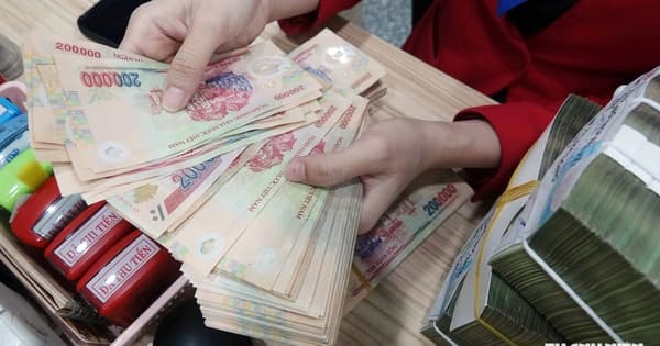 Bộ Tài chính đề xuất xóa lệ phí môn bài, tiền chậm nộp cho mã số thuế trạng thái 03, 06