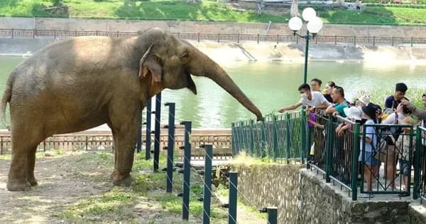 Quy hoạch một phần Công viên Thủ Lệ sang mô hình ‘trải nghiệm sinh cảnh hoang dã tự nhiên’