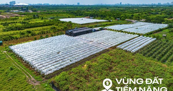Toàn cảnh khu đất ven sông Hồng, nơi có thể xây tháp đôi nhiều tầng nhất thế giới, diện tích sàn gấp hơn 2 lần Burj Khalifa