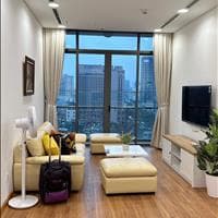 Chính chủ cho thuê căn hộ cao cấp 1PN CC Diamond Park Plaza 16 Láng Hạ. - Ảnh 3