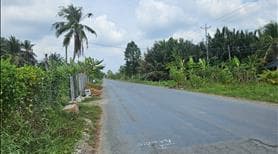 Bán 15 công đất vườn khu sx về Dừa Xã Thành Thới, tỉnh Vĩnh Long - Ảnh 3