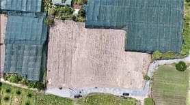 🔥 Chính Chủ cần Bán Gấp Lô Đất Đẹp- Phường Gia Lộc , Trảng Bàng - Ảnh 3