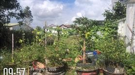 Bán 200m2 đất thuộc KQH Nguyễn Khoan Văn, Phú Bài , TP Huế. - Ảnh 2