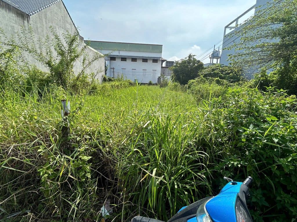 BÁN ĐẤT BÌNH CHÁNH 620TRIỆU,MẶT TIỀN TẬP ĐOÀN 8, SAU THPT BÌNH CHÁNH - Ảnh 2