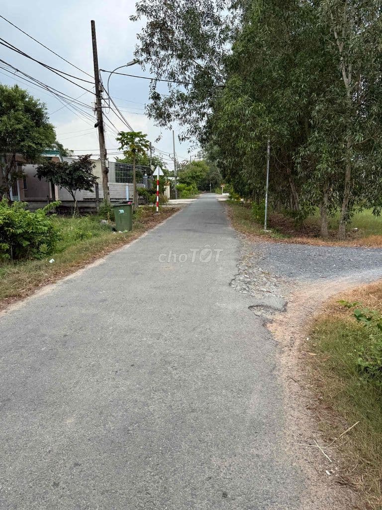 đất full thổ cư xã trung lập hạ. củ chi - Ảnh 3