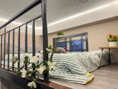 Căn Hộ Duplex 28m2 Nội thất Có Sẵn Mới Sơn Mới toanhhhh