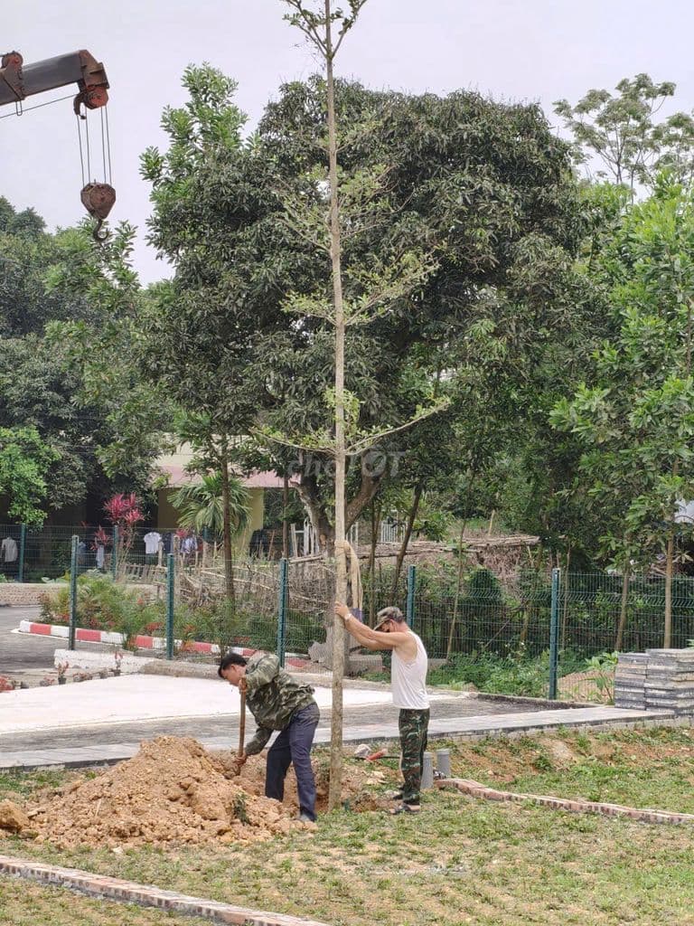 ĐẤT NÊN XUÂN MAI, 100M, MT5,4M, GIÁ 2,78 TỶ - Ảnh 2