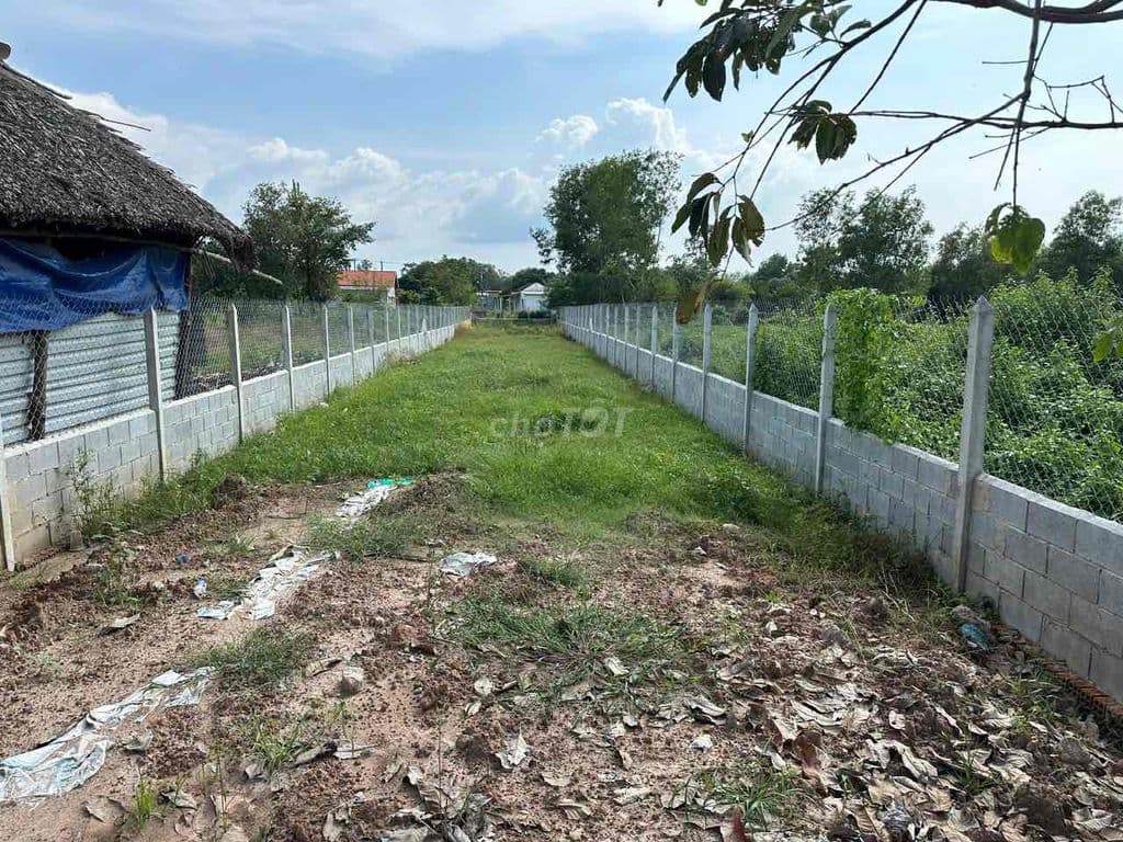 bán đất mặt tiền tỉnh lộ - Ảnh 3