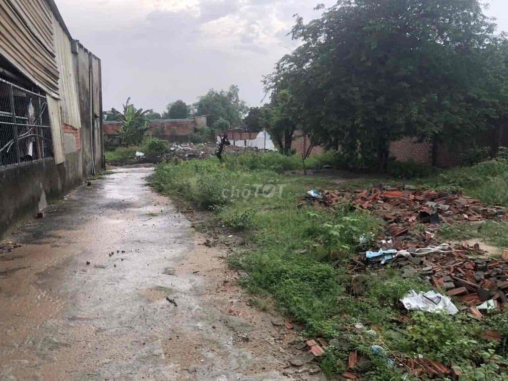 Cần bán gấp giá rẻ - Ảnh 3