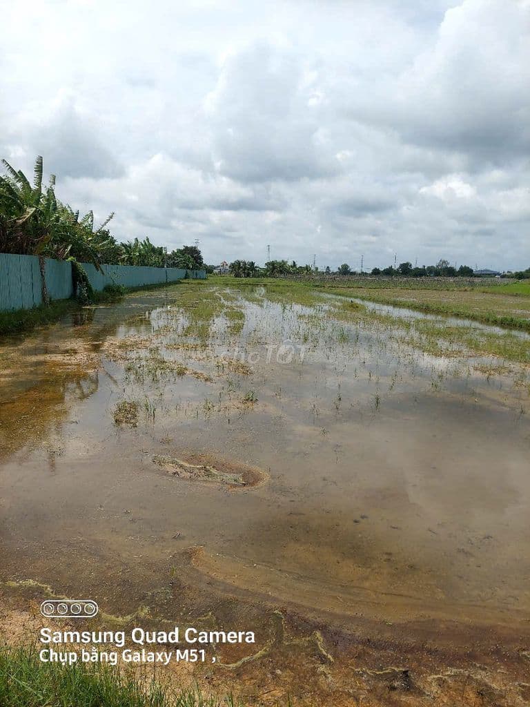 Cần bán đất xã phước thạnh củ chi