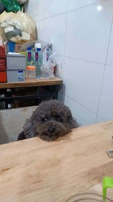 cho thuê nhà 2 tầng ngõ 18 phố hàm long