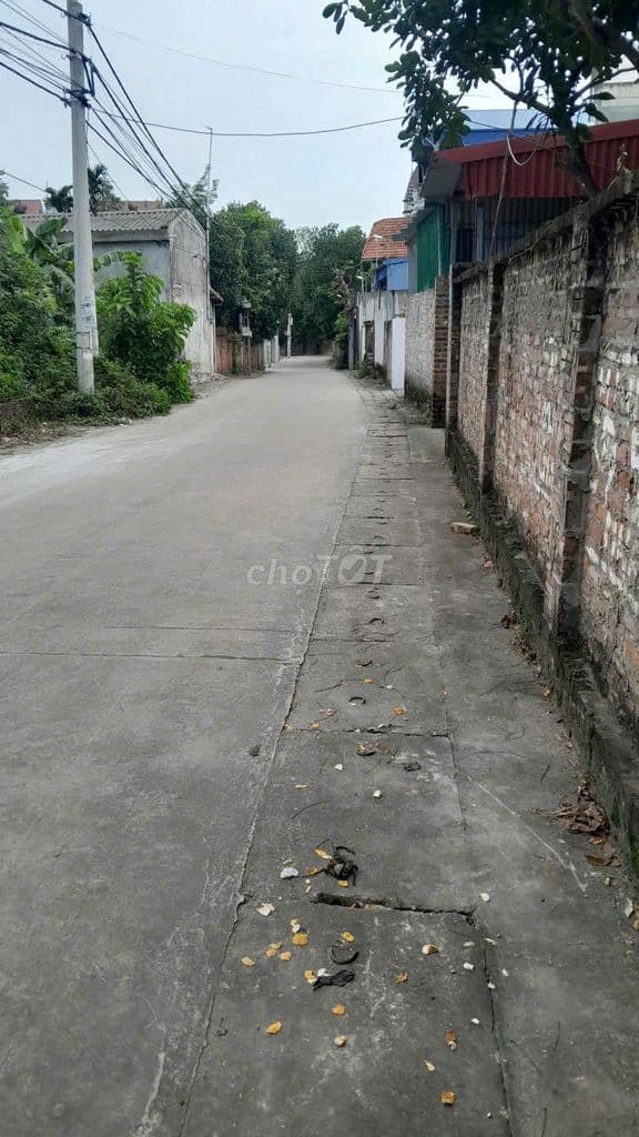 🎉🎉 Đất Đẹp 130m2 Nam Cương, Hiền Ninh - Ngõ Thông Ô Tô – Giá Đầu Tư - Ảnh 3