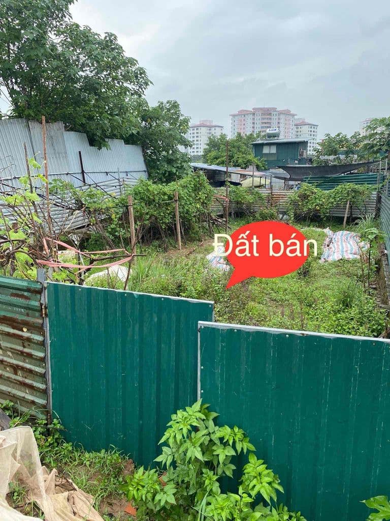 NHỈNH 15TR/M CÓ NGAY THỬA ĐẤT VEN HỒ ĐỊNH CÔNG-GẦN Ô TÔ-150M; MT8M - Ảnh 3