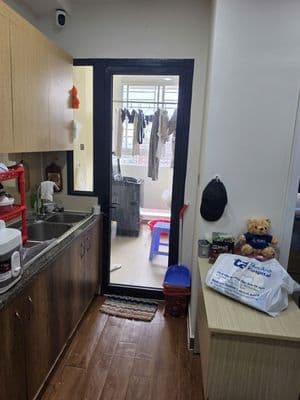 45m2 - 1PN sổ sẵn - view thành phố chỉ 2,550 tỷ full nt - ERA TOWN Q7