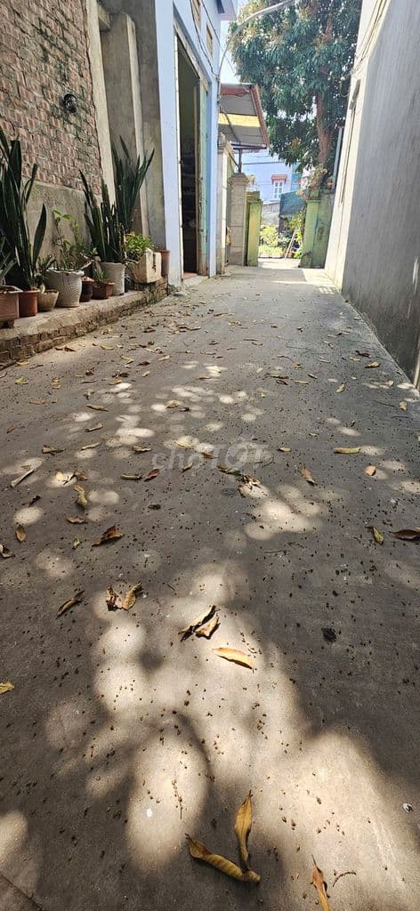 ❤️⚡️⚡️Bán 73m2 Đất Uy Nỗ, Đông Anh, Gần đường Cao Lỗ, Hàng Xóm Chợ Tó - Ảnh 2