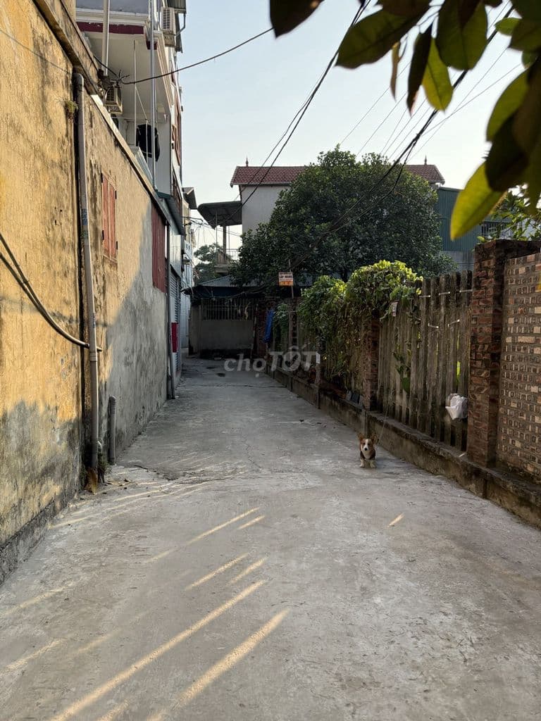 Siêu Phẩm – 35m2 View Trước Đất Cực Thoáng