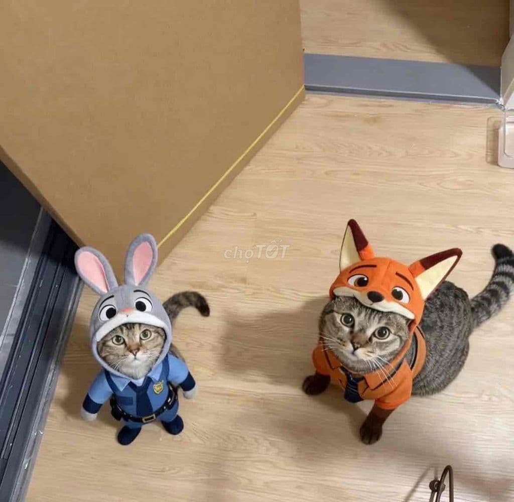 Mua nhà Sai gon khu vực trung tâm Q.3 sát Q.1 gần MTKD Điện Biên Phủ - Ảnh 2