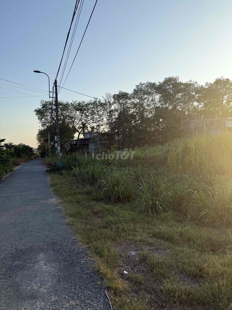 Đát củ chi giá 360 triệu - Ảnh 3