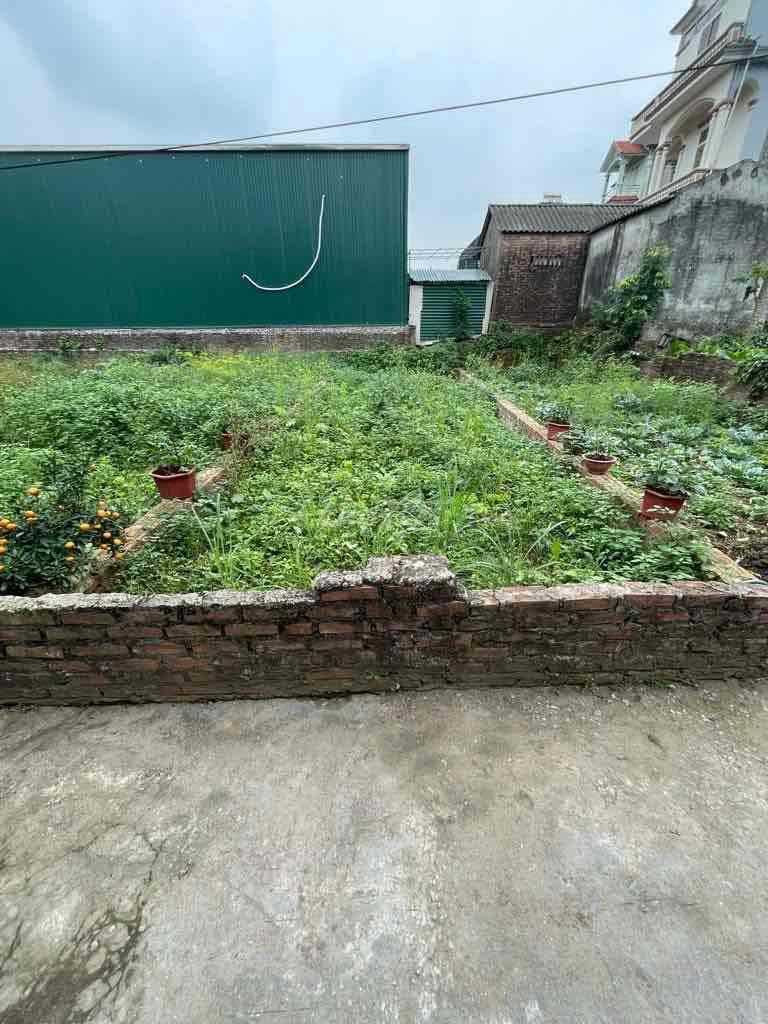 Ngõ nông- Ô tô- giá tốt- chủ nhiệt bán - Ảnh 3