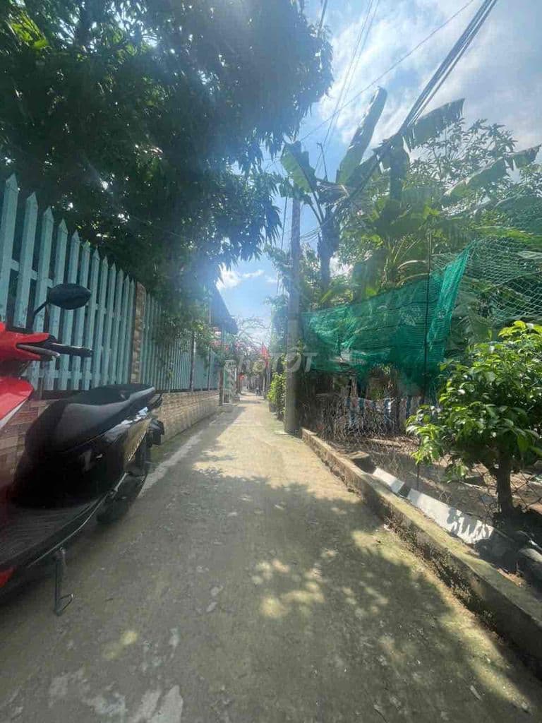 Bán lô nền thổ cư với chiều ngang khủng 7m gần đường Trần Quang Đạo - Ảnh 2