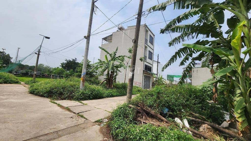 ĐẤT ĐẤU GIÁ PHÚC THÀNH BIÊN GIANG, 52,5 M, MT5M, GIÁ 3,4 TỶ - Ảnh 3