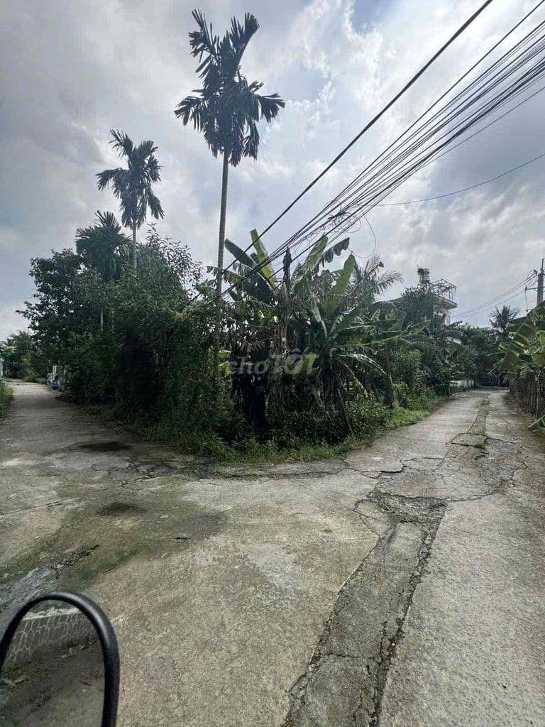 Đất view sông Sài Gòn tiếp giáp Bình Dương cần bán