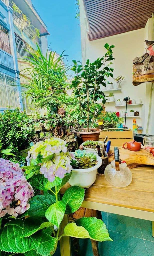 bán nhà phường Nhân Chính, ngõ ô tô tránh nhau, dt 66m2, mặt tiền 4,22 - Ảnh 2