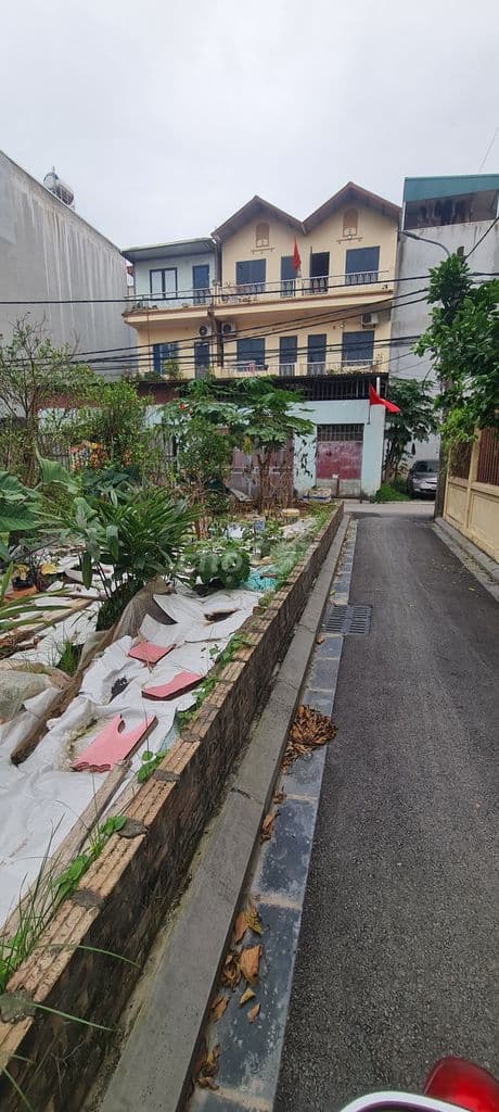 HIẾM💥 BÁN ĐẤT ĐẸP- MAI LÂM- VUÔNG NỞ HẬU-Ô TÔ ĐỖ-Ở SƯỚNG-54M-5,1 TỶ - Ảnh 3