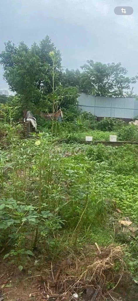 Hot ! Nhỉnh 20tr/m2 có lô đất Định Công Hạ-Oto 40m-Lô góc-70m;MT5m - Ảnh 2