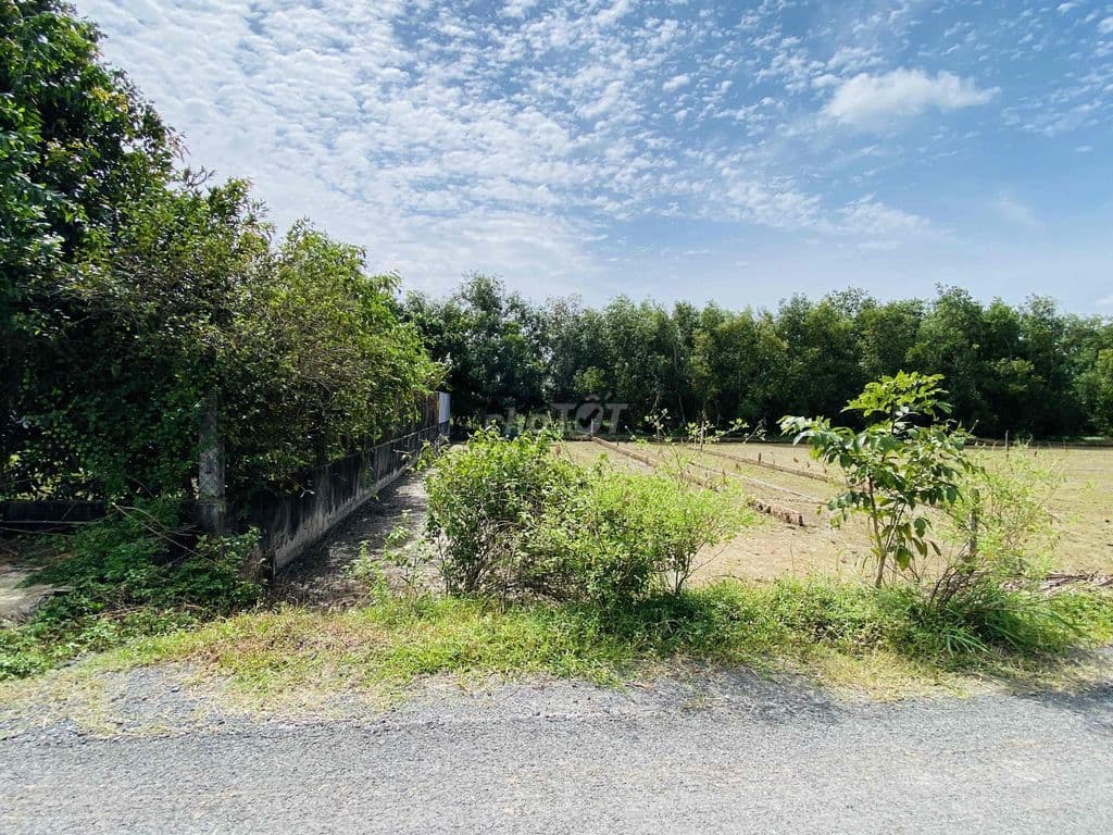 Đất thổ cư KĐT Tây Bắc Basa Củ Chi - TL mạnh - Ảnh 2