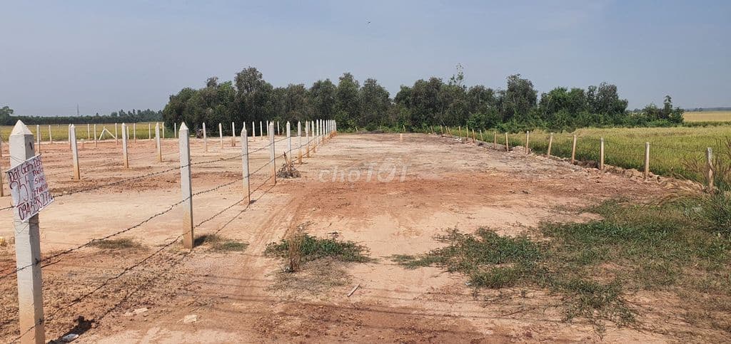 Mặt tiền TL7, Thái Mỹ sát Vinhomes Tân Mỹ