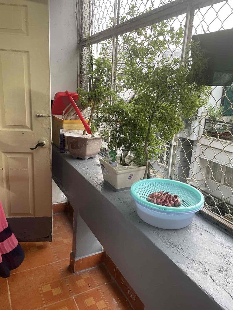 Chung Cư Thanh Niên đường bàu cát 2 gần MN Bàu Cát - Ảnh 3