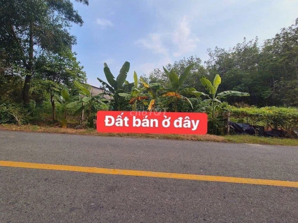 Bán đất rẻ Gần chợ An Nhơn Tây - 184m2 có 150m Tc, Mt đường lớn SHR