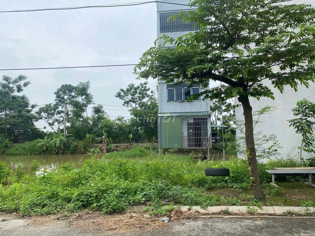 bán đất phân lô đồng ông