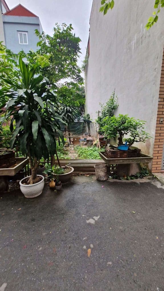 Đất Xây nhà cho thuê thì gà đẻ trứng vàng - Ảnh 3