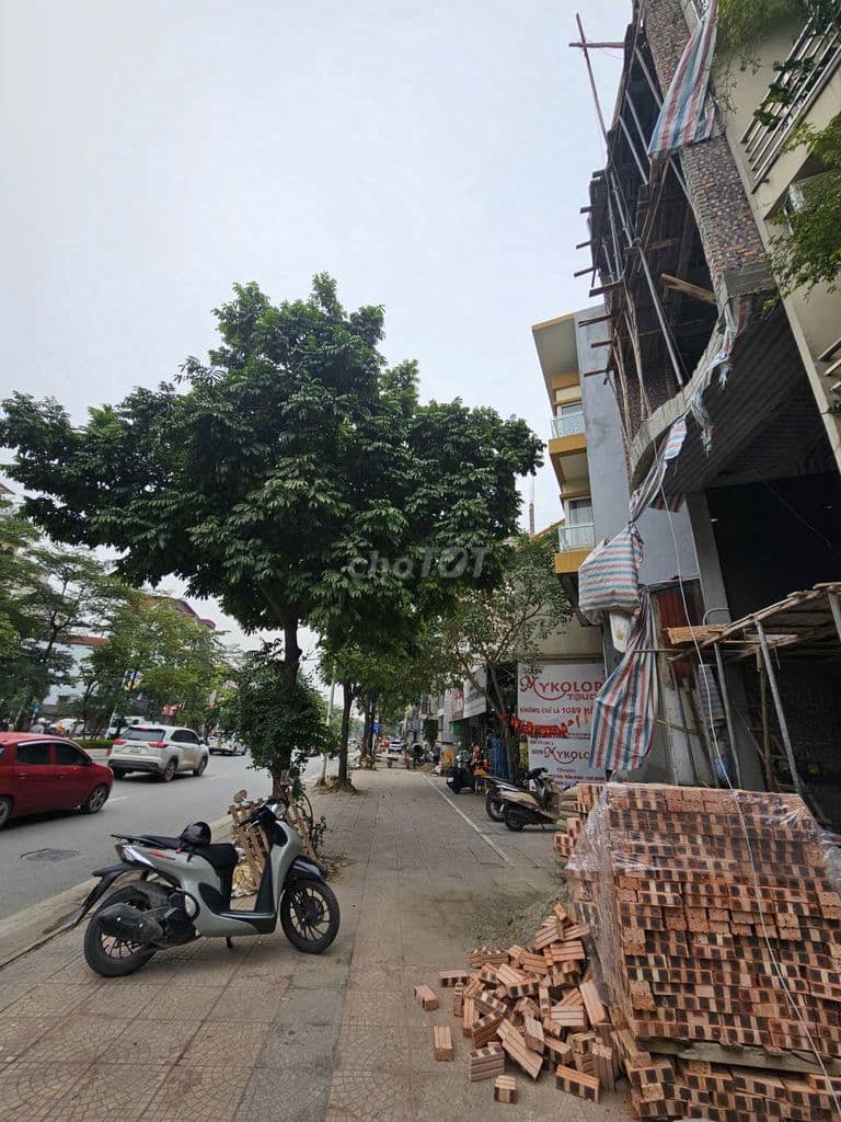 Nhà 7 Tầng Mặt Cổ Linh Vỉa Hè Rộng Kinh Doanh Đỉnh - Hơn 18 Tỷ - Ảnh 3