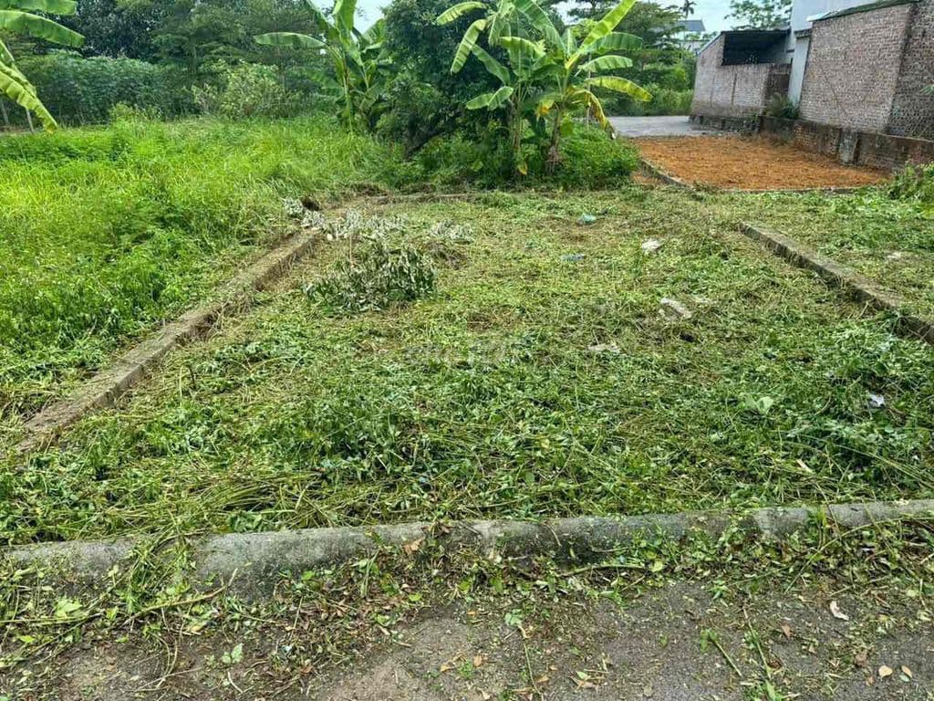 Cần bán đất 60,2m2; 2,45 tỷ Đồi Sen, Bình Yên, Hà Nội oto tránh - Ảnh 3