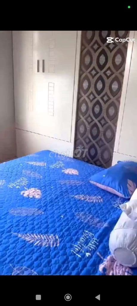 🏠🏠 BÁN CĂN HỘ CHUNG CƯ MẶT TIỀN ĐƯỜNG NGUYỄN BIỂU, P1, Q5 💢 DT 38 - Ảnh 2