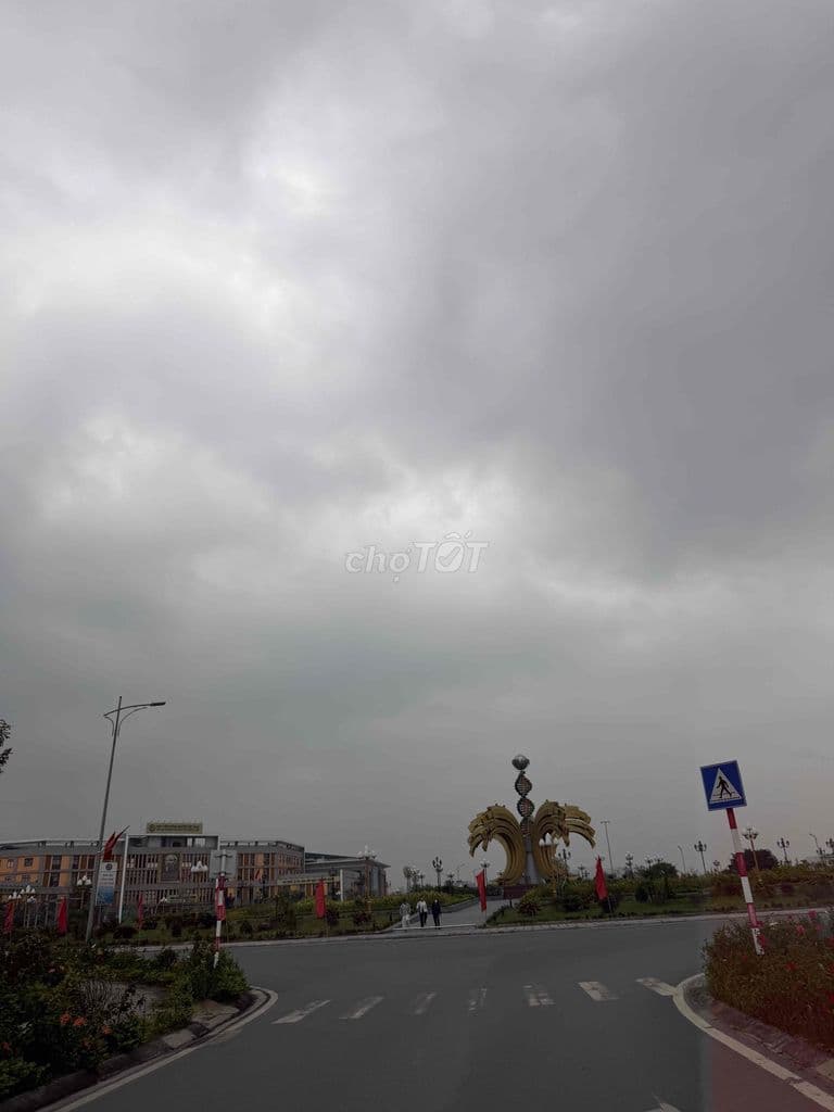 bán đất rẻ nhất trung tâm trâu quỳ nhỉnh 7 tỉ - Ảnh 3