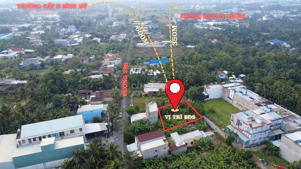 Đất view sông Sài Gòn tiếp giáp Bình Dương cần bán - Ảnh 2