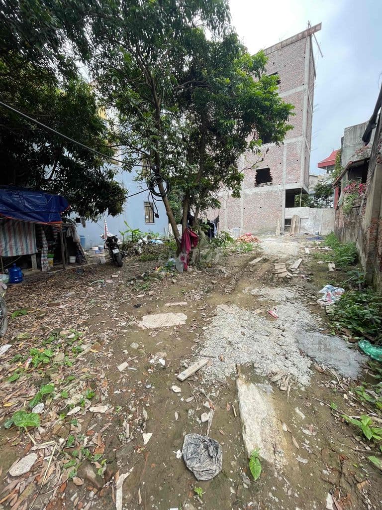 Chính chủ bán đất Trinh Lương – Phú Lương, Hà Đông – 55m², đất vuông đ - Ảnh 2