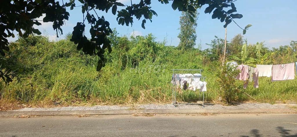 Đất 52m2 Blue Long Phước Quận 9. Lô Sạch đẹp - Ảnh 3