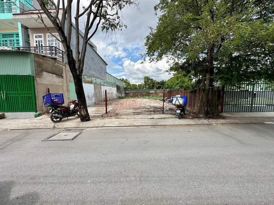 BÁN ĐẤT MT TÂN THÔNG HỘI – CỦ CHI | DT 7x30m | CHỈ 1,4 TỶ SHR - Ảnh 2