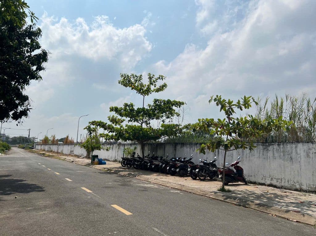 Bán đất biệt thự đường số 14 KDC T30 xã Bình Hưng Bình Chánh - Ảnh 3