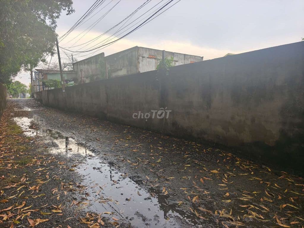 Bán đất góc 2mặt đường Dt,10*50 có 300m thổ - Ảnh 3