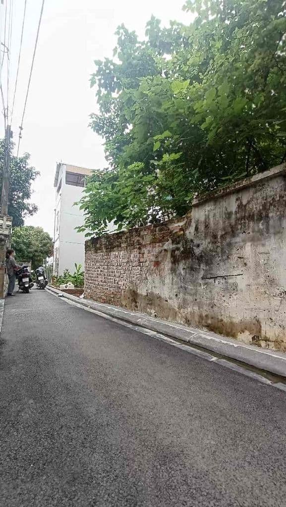 Đất Đào Duy Tùng, Đông Anh 50m , mặt tiền 5,2m, 5,8 tỷ - Ảnh 2